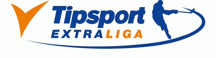 Slovak Extraliga 2011-Pres Primary Logo iron on transfers for clothing